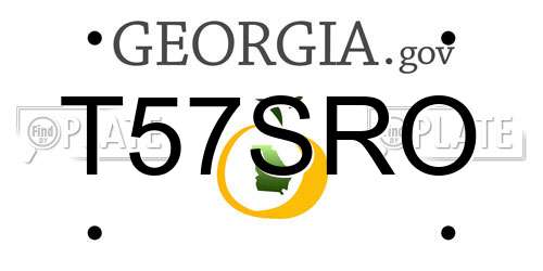 T57SRO Georgia License Plate