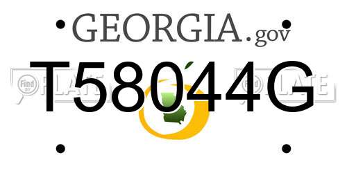 T58044G Georgia License Plate