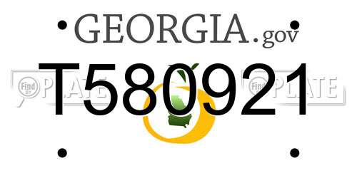 T580921 Georgia License Plate