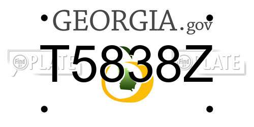 T5838Z Georgia License Plate