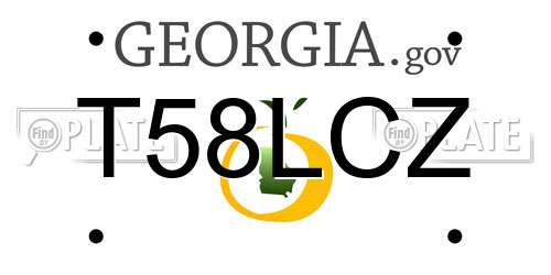T58LCZ Georgia License Plate