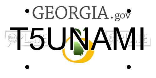 T5UNAMI Georgia License Plate