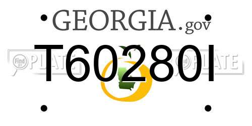 T60280I Georgia License Plate