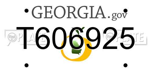 T606925 Georgia License Plate