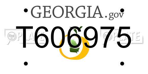 T606975 Georgia License Plate