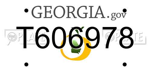T606978 Georgia License Plate