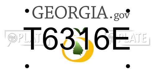 T6316E Georgia License Plate