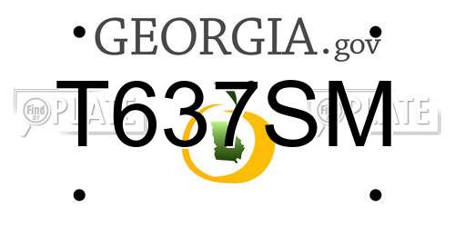 T637SM Georgia License Plate