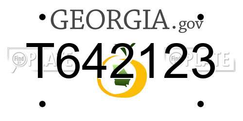 T642123 Georgia License Plate