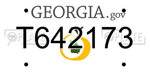 T642173 Georgia License Plate