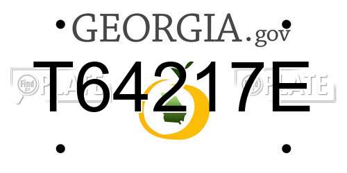T64217E Georgia License Plate