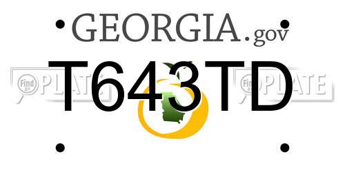 T643TD Georgia License Plate