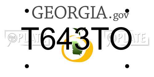 T643TO Georgia License Plate