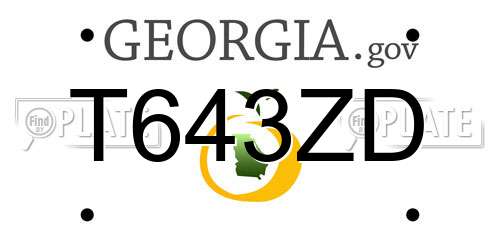 T643ZD Georgia License Plate