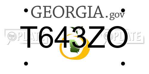 T643ZO Georgia License Plate