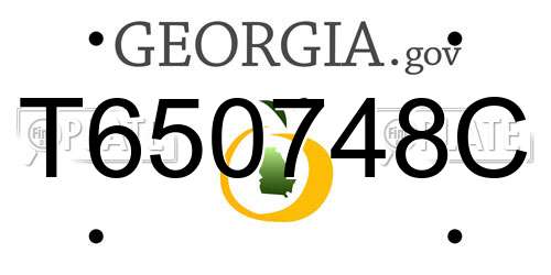 T650748C Georgia License Plate