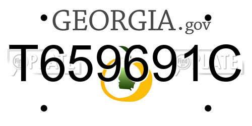 T659691C Georgia License Plate