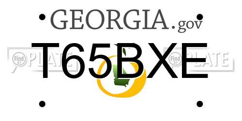 T65BXE Georgia License Plate