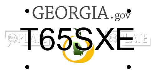 T65SXE Georgia License Plate