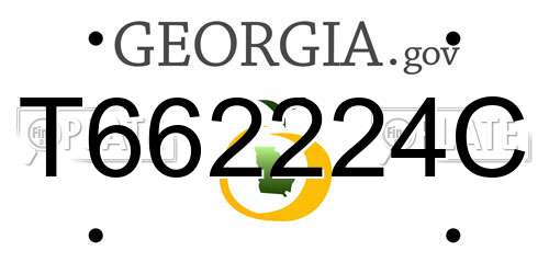 T662224C Georgia License Plate