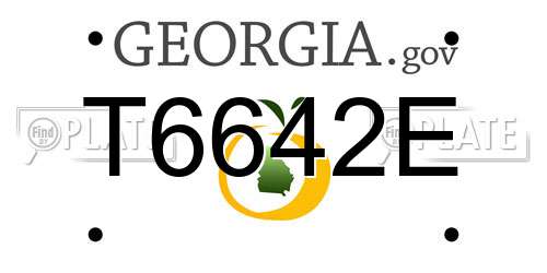 T6642E Georgia License Plate