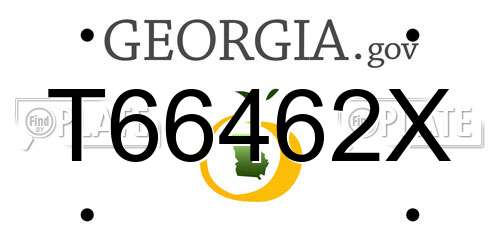 T66462X Georgia License Plate