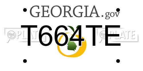 T664TE Georgia License Plate