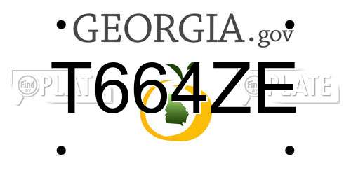 T664ZE Georgia License Plate