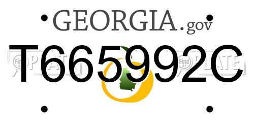 T665992C Georgia License Plate