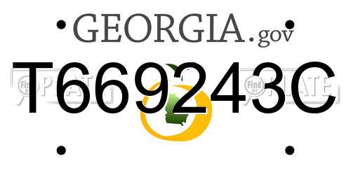 T669243C Georgia License Plate