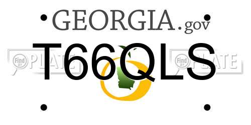T66QLS Georgia License Plate