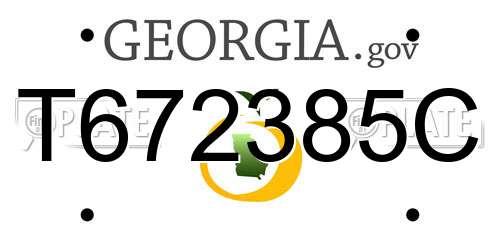 T672385C Georgia License Plate