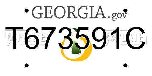 T673591C Georgia License Plate