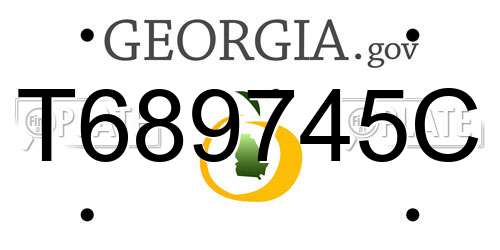 T689745C Georgia License Plate