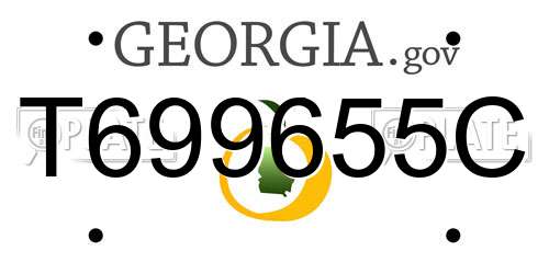 T699655C Georgia License Plate