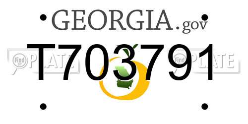 T703791 Georgia License Plate