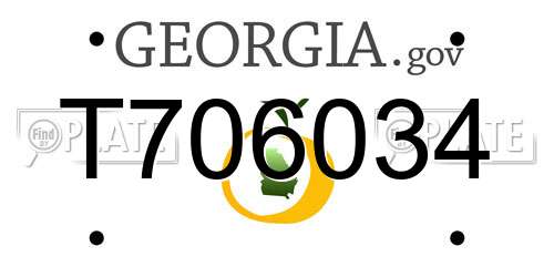T706034 Georgia License Plate
