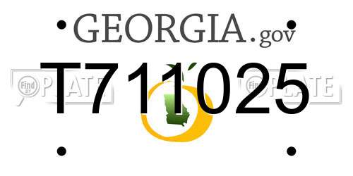 T711025 Georgia License Plate