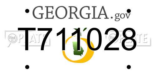T711028 Georgia License Plate