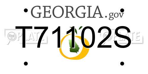 T71102S Georgia License Plate