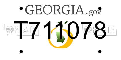 T711078 Georgia License Plate