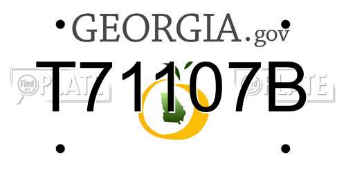 T71107B Georgia License Plate