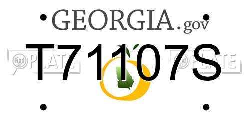 T71107S Georgia License Plate
