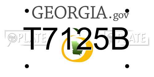T7125B Georgia License Plate
