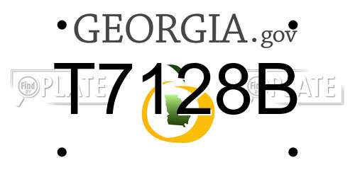 T7128B Georgia License Plate