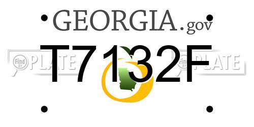 T7132F Georgia License Plate