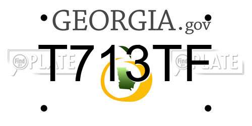 T713TF Georgia License Plate
