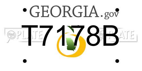 T7178B Georgia License Plate