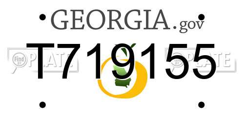 T719155 Georgia License Plate
