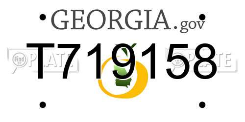 T719158 Georgia License Plate
